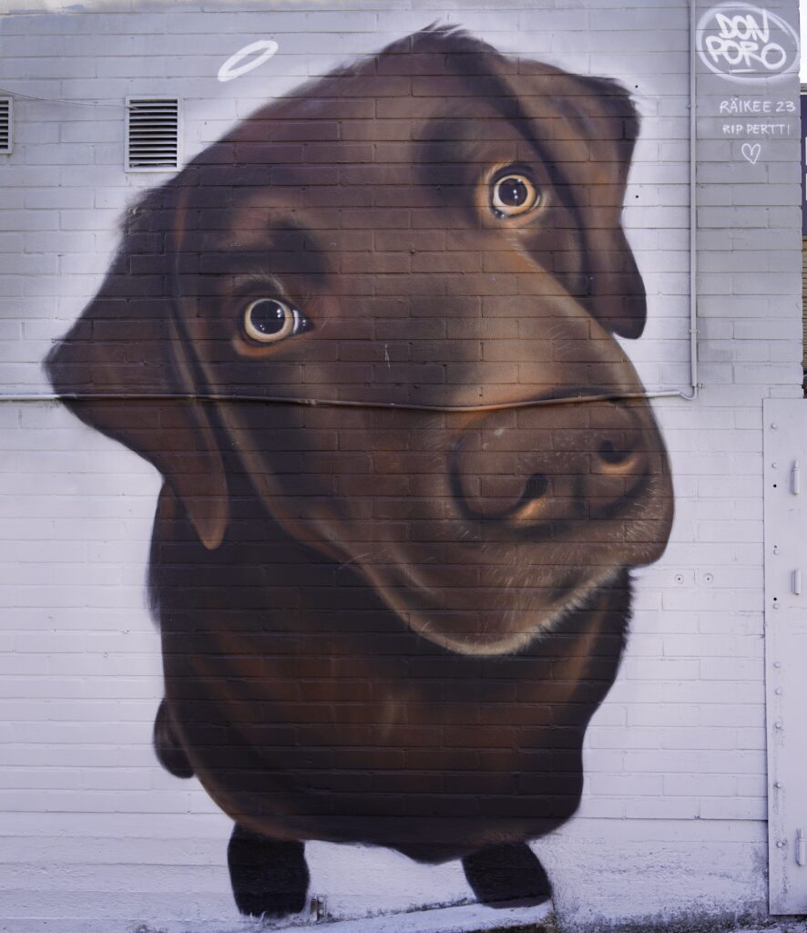 Katutaidemaalaus Pertti perseilevästä labradorinnoutajasta